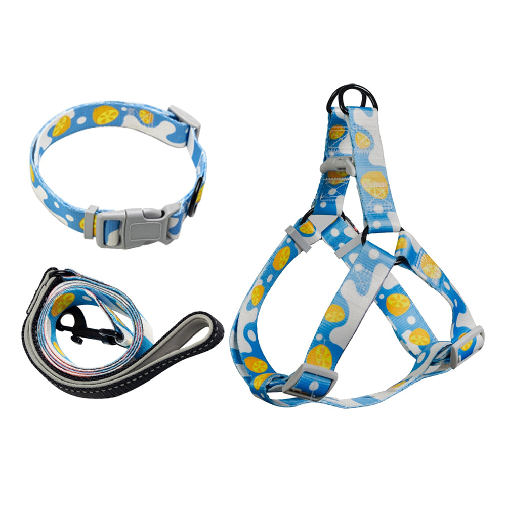 Aiitle Patterned Dog Harness Leash Collar 3 Pcs Set