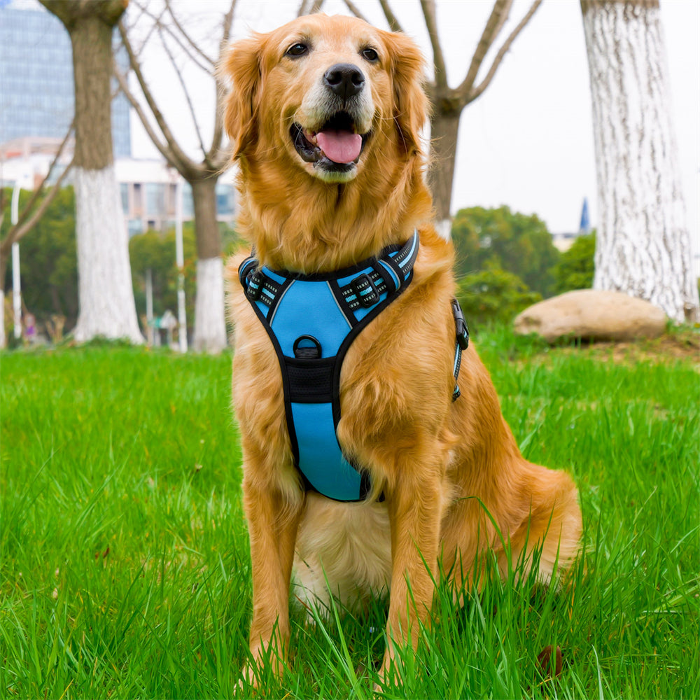 Aiitle Reflective No Pull Dog Harness Blue