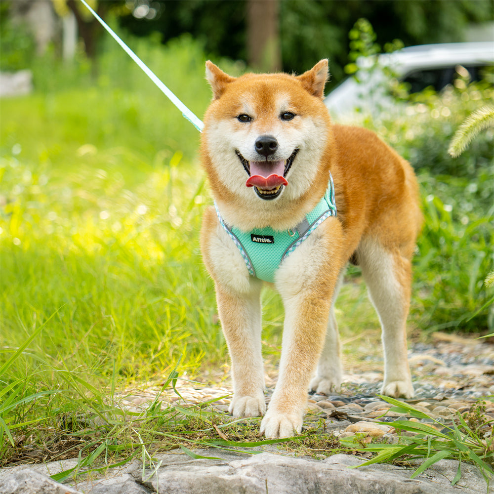 Aiitle Step in Breathable Air Mesh Dog Harness