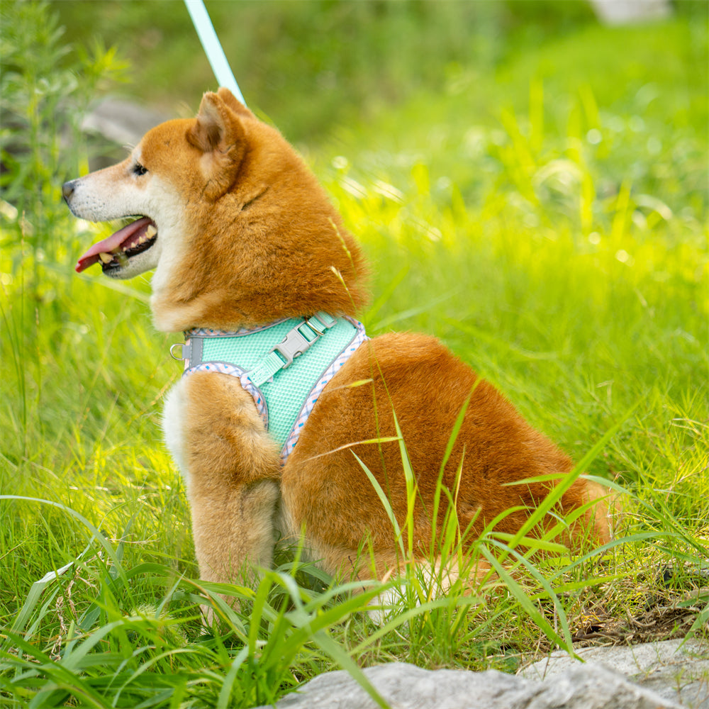 Aiitle Step in Breathable Air Mesh Dog Harness