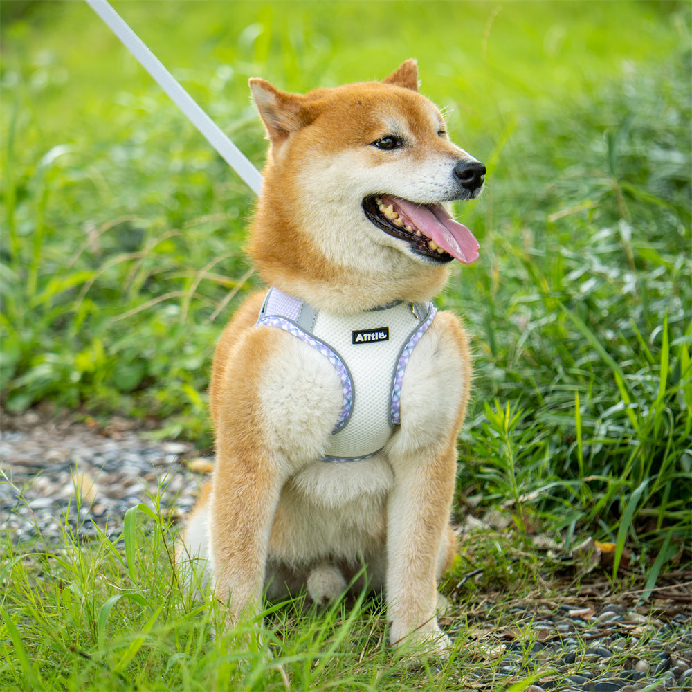 Aiitle Step in Breathable Air Mesh Dog Harness Purple White