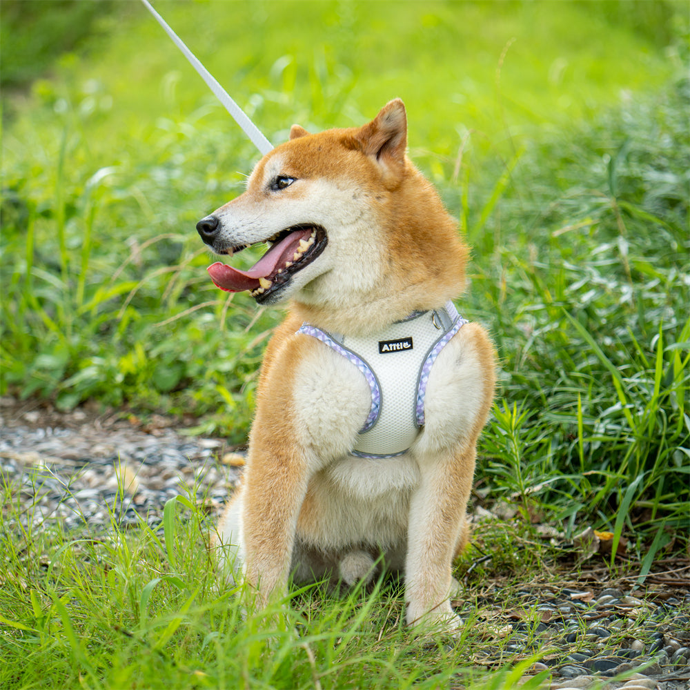 Aiitle Step in Breathable Air Mesh Dog Harness Purple White