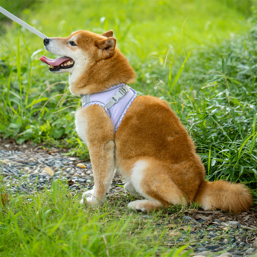 Aiitle Step in Breathable Air Mesh Dog Harness Purple White