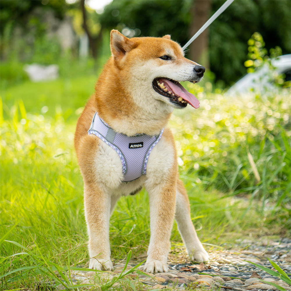 Aiitle Step in Breathable Air Mesh Dog Harness Purple