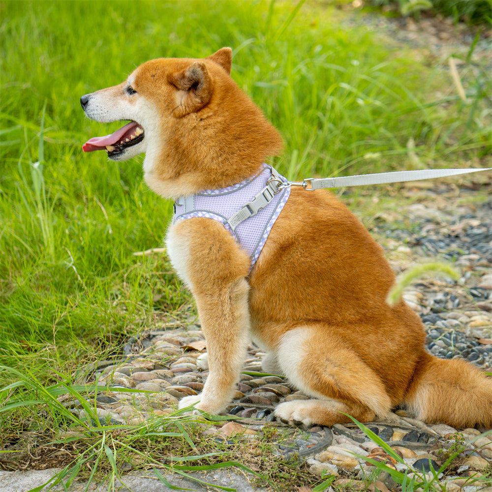 Aiitle Step in Breathable Air Mesh Dog Harness Purple